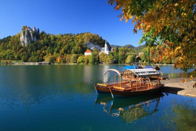 Mia Dream Apartamento Bled Exterior foto