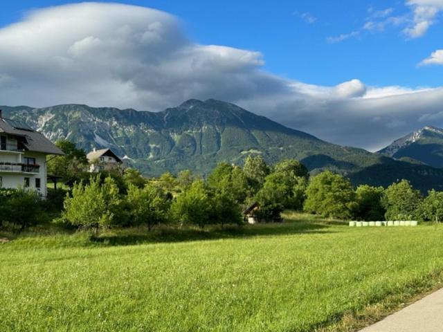 Mia Dream Apartamento Bled Exterior foto